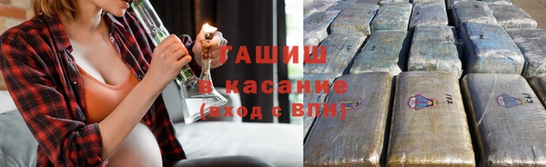 хмурый Абаза