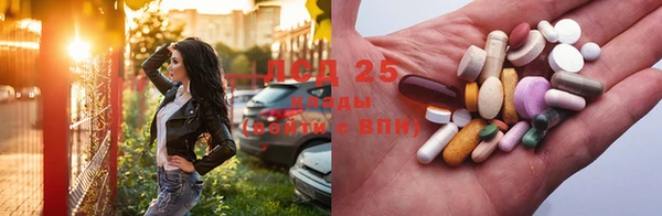 ГАЛЛЮЦИНОГЕННЫЕ ГРИБЫ Абинск