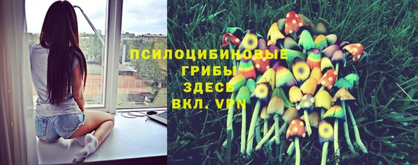 прущая мука Абдулино