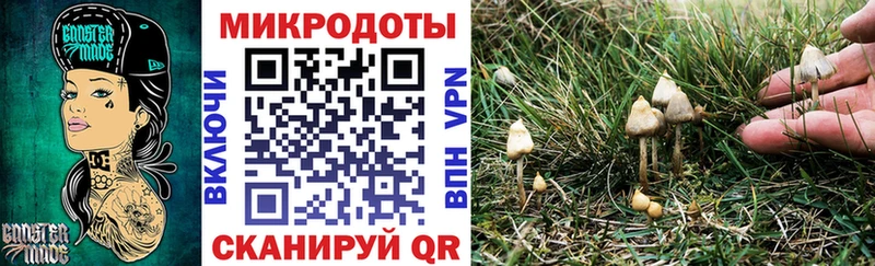Галлюциногенные грибы MAGIC MUSHROOMS  Болотное 